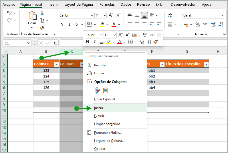 inserção e formatação de dados excel